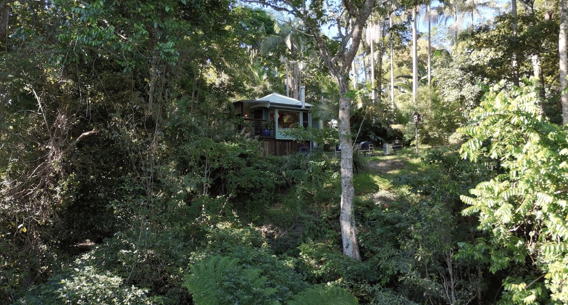 Rainfoest Cabin Near Brisbane